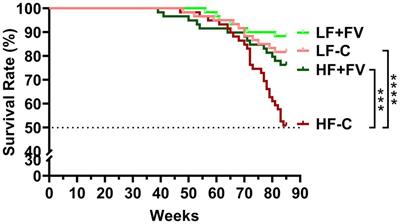 Life-long consumption of high level of fruits and vegetables reduces tumor incidence and extends median lifespan in mice